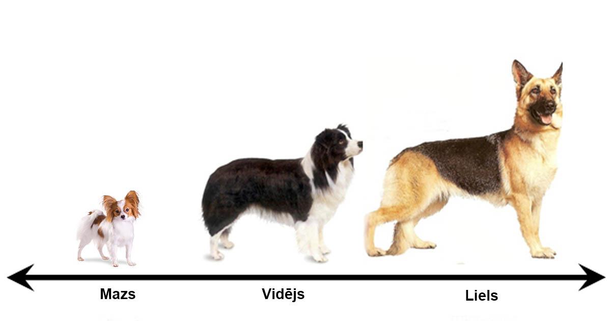 Suņu būdas izmēri balstoties uz suņa lielumu